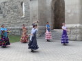 "Flamenco around Winnipeg"  - Screen-Shot-2021