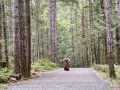 "Fox Woman" - screen shot 2022 Victoria Flamenco Festival