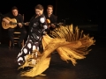 Flamenco-July-28-0720