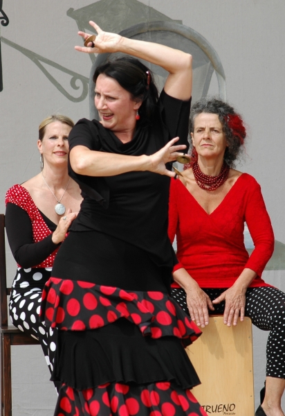 Flamenco de la Costa - photo credit: Amity Skala