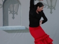 Mozaico Flamenco - photo credit: Amity Skala