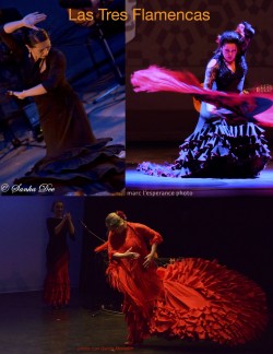 Las-Tres-Flamencas-photo