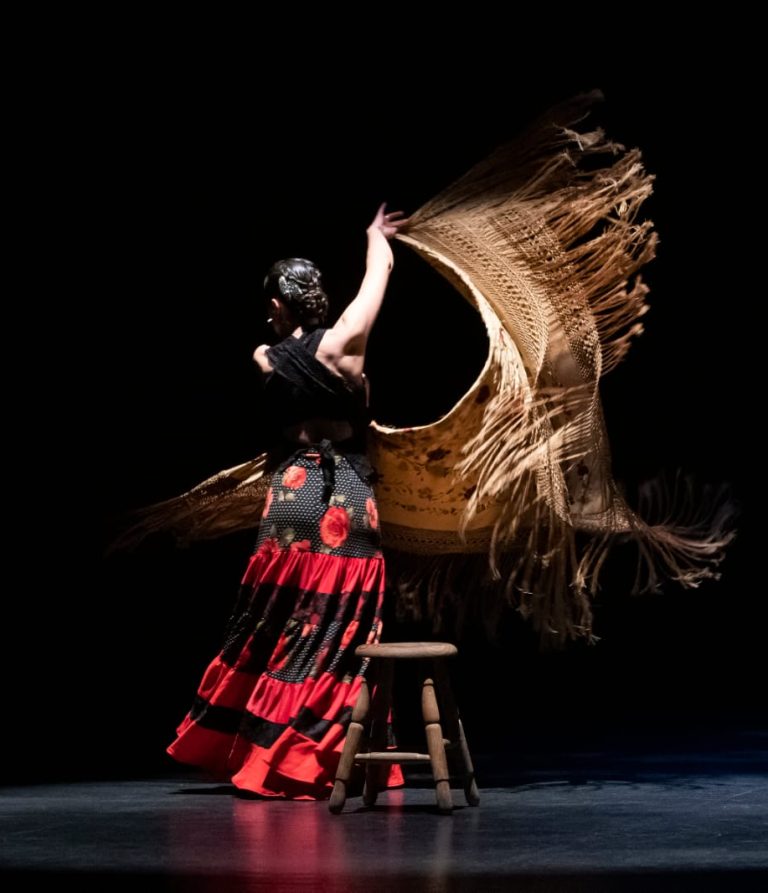 Sin Distancia Ni Tiempo (on-line performance)